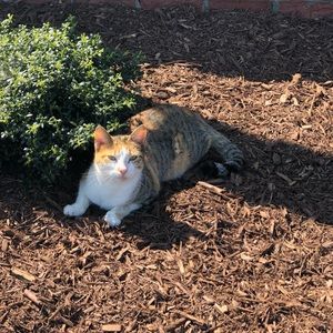 Meet your Posher, Reagan